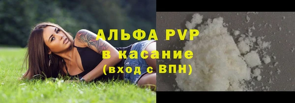 ПСИЛОЦИБИНОВЫЕ ГРИБЫ Осташков