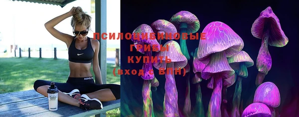 сатива Остров