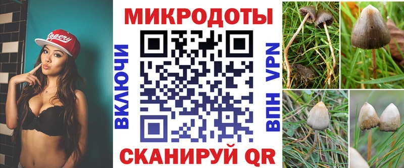 Псилоцибиновые грибы мухоморы darknet официальный сайт Чусовой