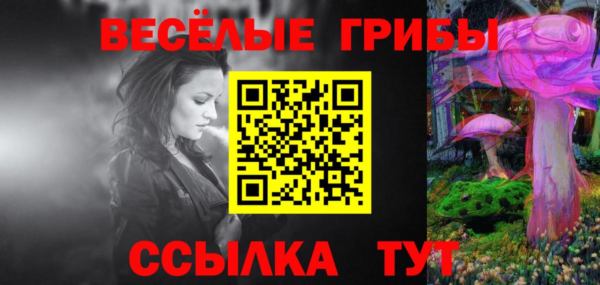 Псилоцибиновые грибы GOLDEN TEACHER Чусовой