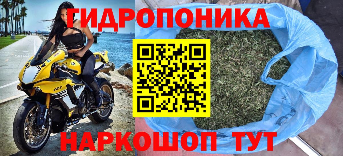 Чусовой  Бошки марихуана планчик  Вход с VPN  Канабис Bruce Banner  Шишки марихуана планчик 